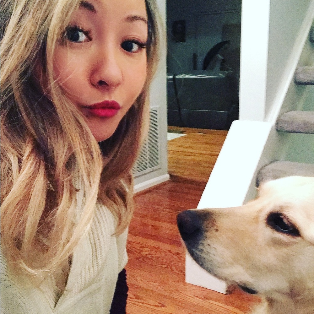 ✨💥 Live Show Notifier, Let’s GO!💥✨ - Picture 8 of 13